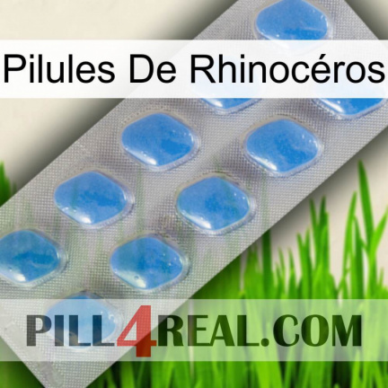 Pilules De Rhinocéros 22